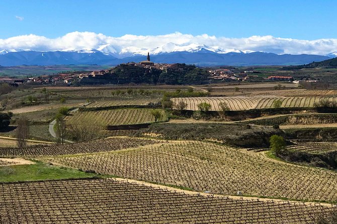 Rioja Wineries and Laguardia Tour With Picnic From San Sebastian - Meeting and Pickup