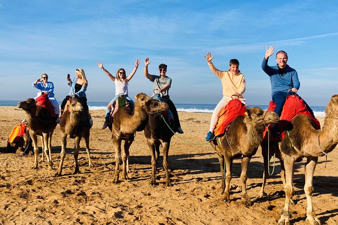 Rock The Kasbah - Historical Walking Tour in Tangier - Tangier Attractions