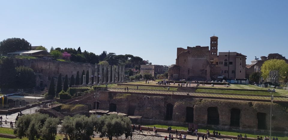 Rome: Fast-Track Private Colosseum Arena & Palatine Hill - Accessing the Colosseum Arena