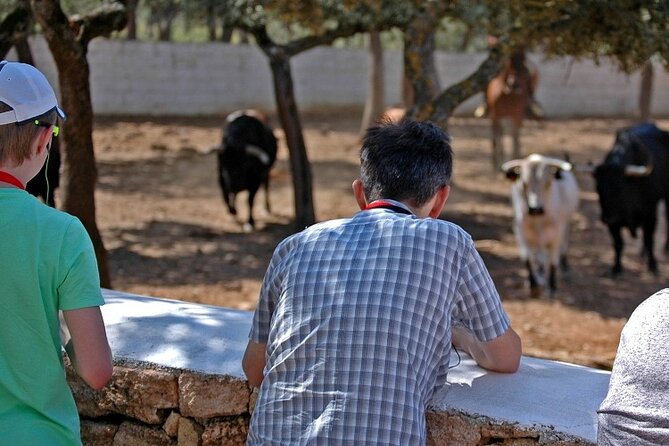 Ronda Nature Reserve Guided Tour - Activities on the Tour