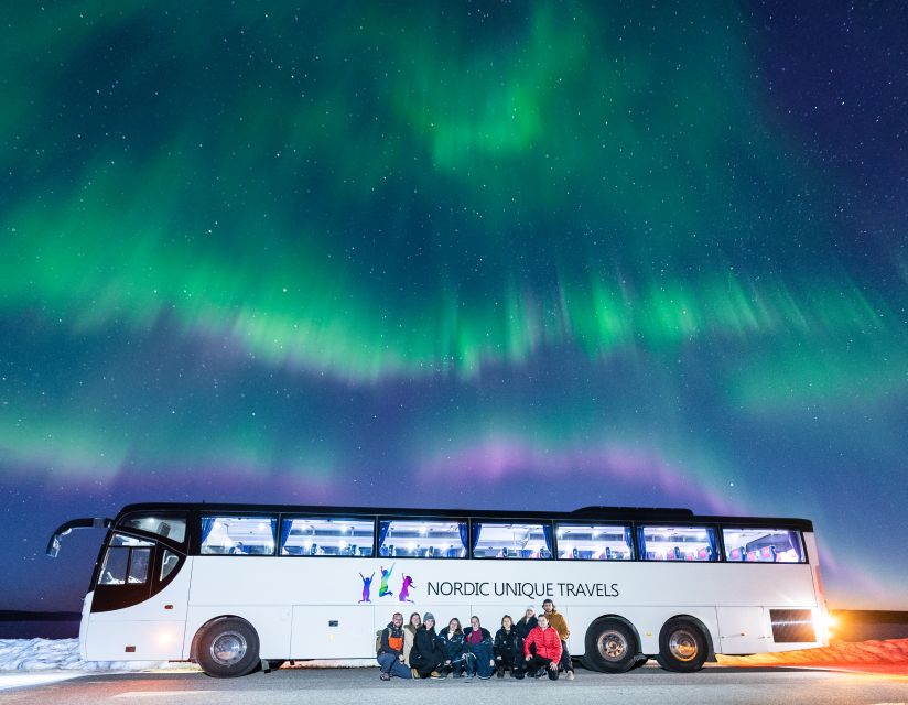 Rovaniemi: Hunting Northern Lights Bus Tour - Highlights