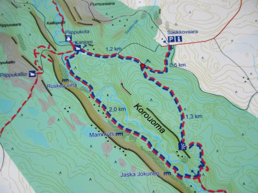 Rovaniemi: Korouoma Canyon and Frozen Waterfalls Tour - Highlights of the Tour