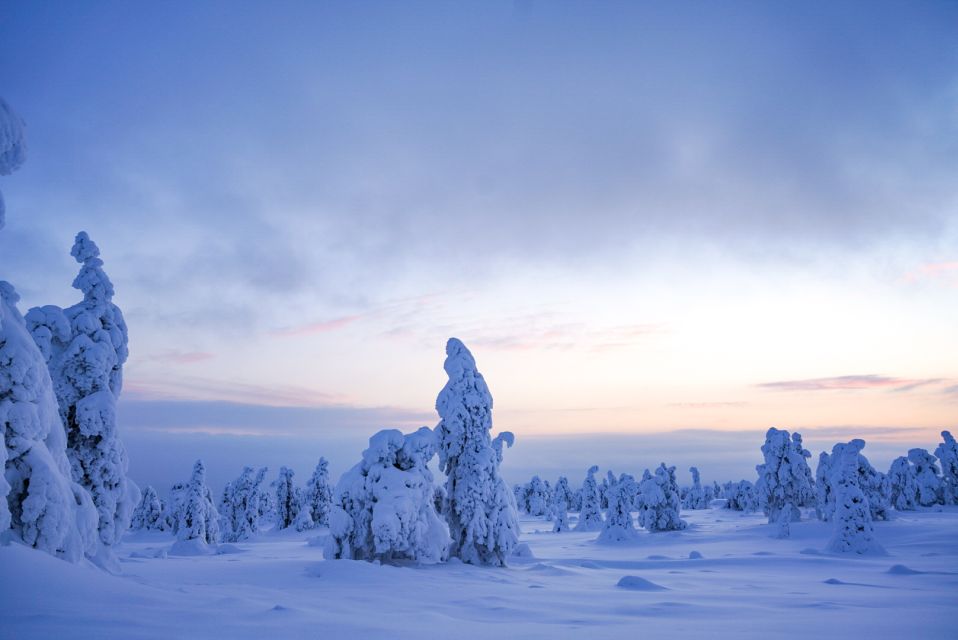 Rovaniemi: Riisitunturi National Park Day Trip With Lunch - Tour Inclusions