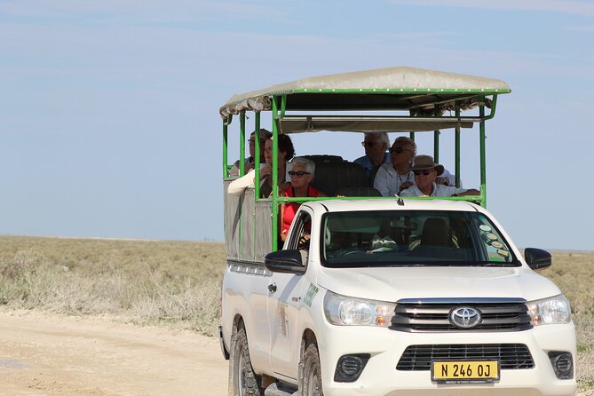 Safari in Etosha National Park With Professional Tour Guides Born in Etosha. - Wildlife Sightings