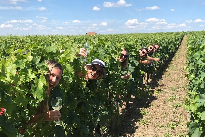 Saint-Emilion Winery Morning Tour With Local Guide - Highlights of Saint-Emilion