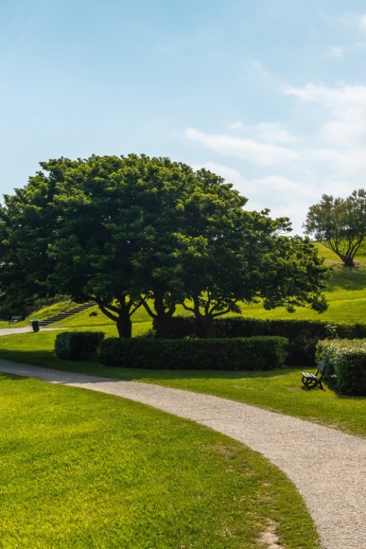 Saint-Jean-de-Luz and Hondarribia Private Tour - Discovering Hondarribias Charm