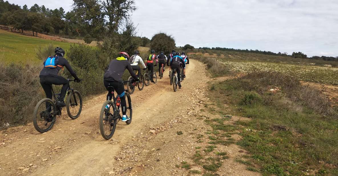 Salomons Route in the Côa Valley - Included Amenities