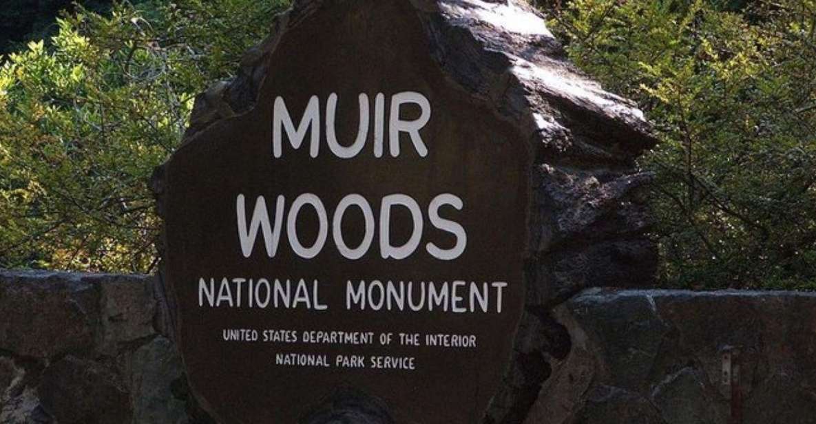 San Francisco: Muir Woods, Sausalito, and Tiburon Day Trip - Exploring Muir Woods