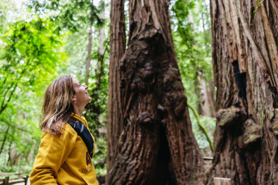 San Francisco: Muir Woods & Sausalito Tour With Ferry Option - Experience Highlights