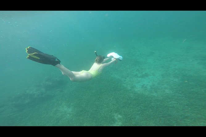 San Juan Turtle Spotting Snorkel Adventure With Videos - Meeting Point Details