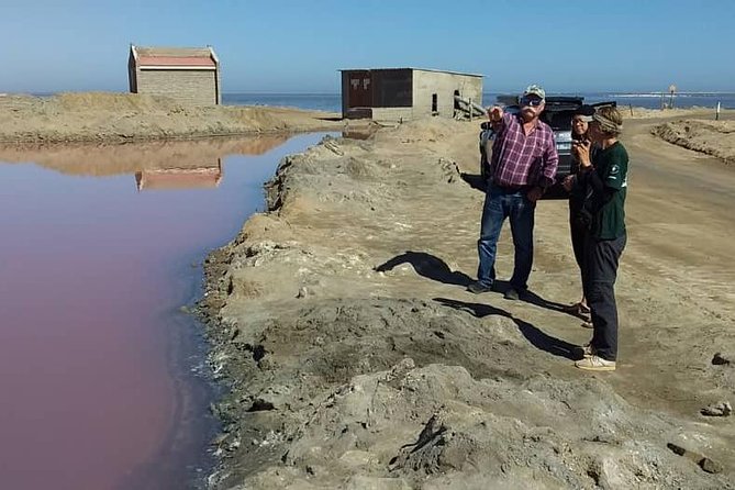 Sandwich Harbour Adventure: Seals and Sandwich Harbour Dune Drive - Pickup and Accessibility