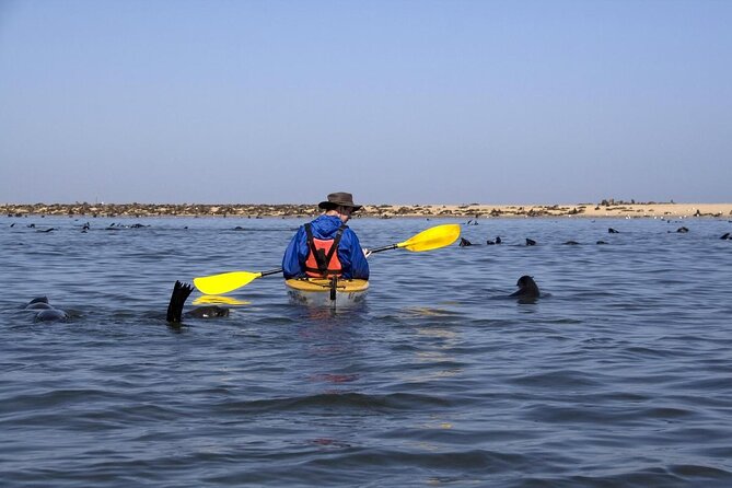 Sandwich Harbour & Pelican Point Full Day Tour - Sandwich Harbour Visit