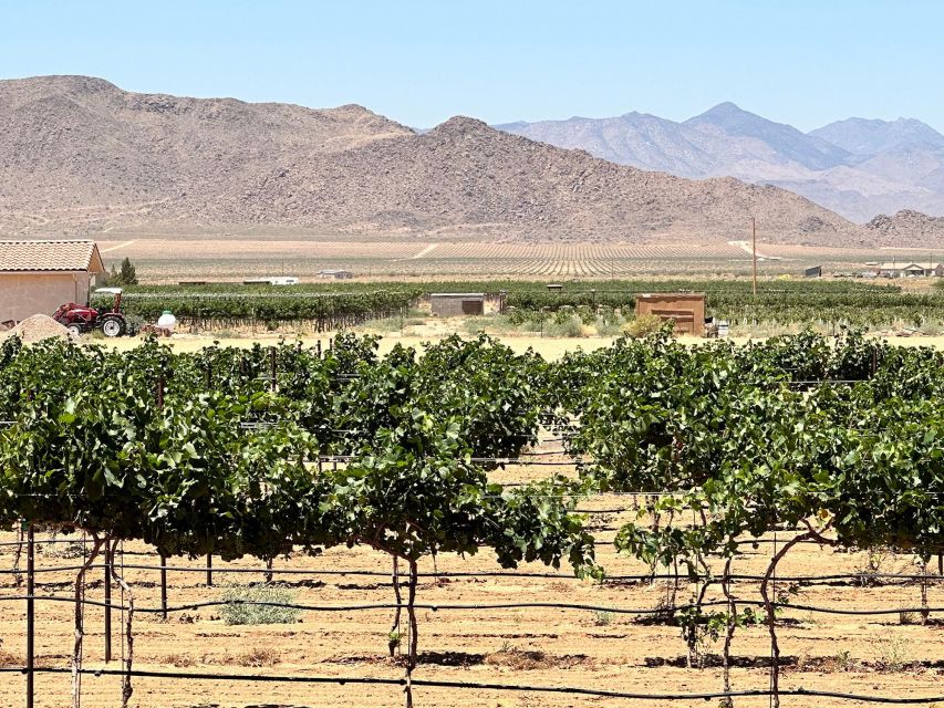 Scenic Desert Wine, Distillery Tastings/Brewery/RT66 & Lunch - Scenic Desert Views and Wine Tasting