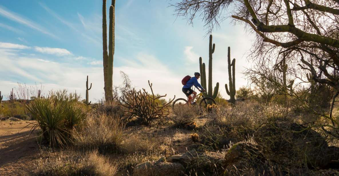 Scottsdale: Half-Day Sonoran Desert Mountain Bike Tour - Guided Adventure Experience