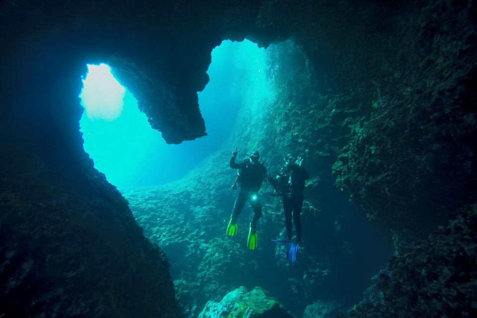 Scuba Diving in Dubrovnik: 1 Dive for Certified Divers - Diving Experience