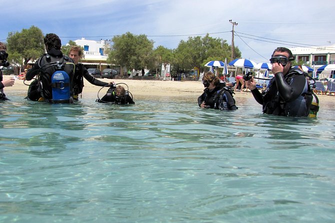 Scuba Diving in Naxos by Bluefindivers - Dive in Greece - Amazing Diving Spots - Scuba Diving Activity