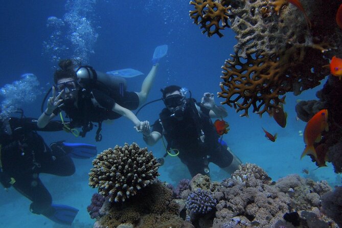 Scuba Diving Tour in Antalya With Lunch and Transfer - Diving Equipment and Training