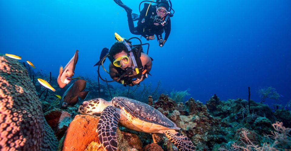 Scuba Diving Tour With Transfer From Alanya and City of Side - Inclusions