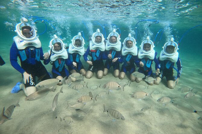 Sea Trek (exclusive in Lanzarote) - Wildlife-Rich Waters of Lanzarote