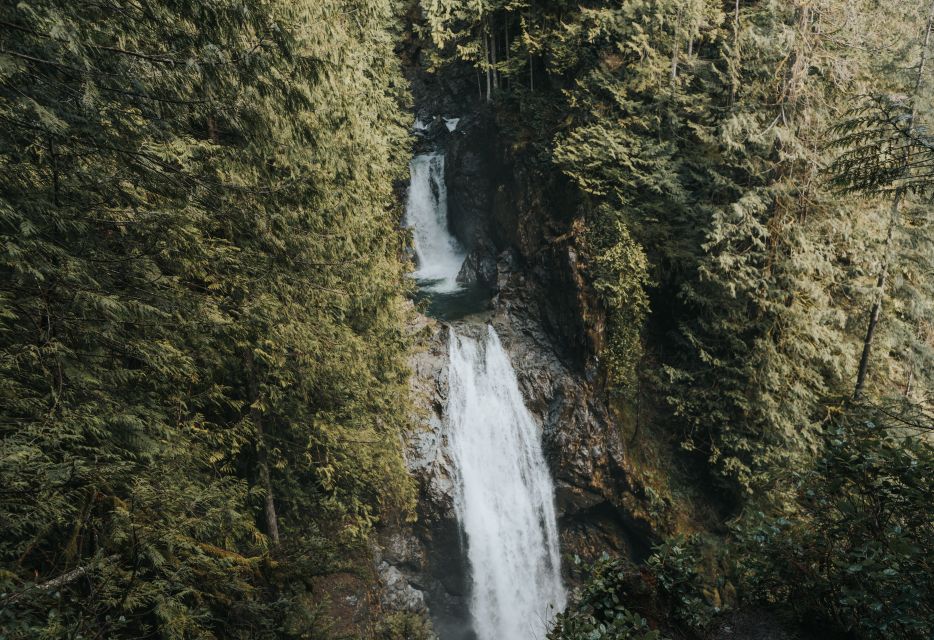 Seattle: Waterfall Wonderland Hike in Wallace Falls Park - Highlights of the Experience