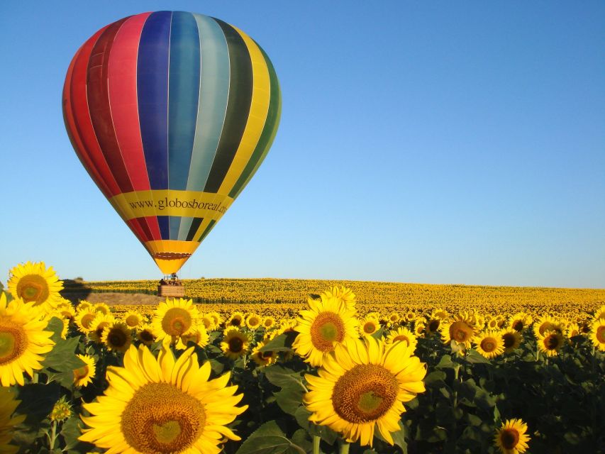 Segovia: Private Balloon Ride for 2 With Cava and Breakfast - Highlights and Landmarks of Segovia