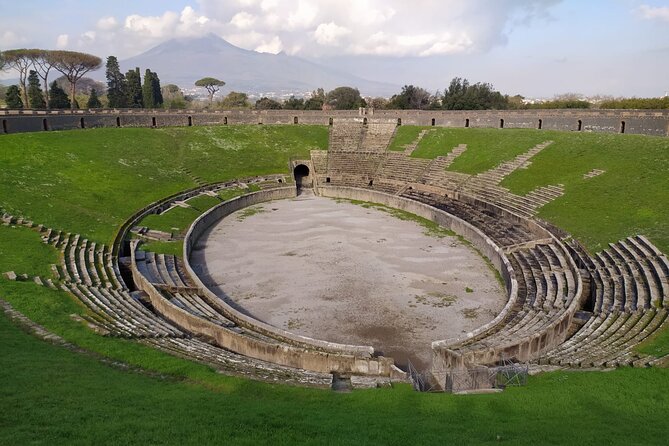 Semi - Private Tour of Pompeii With an Archeologist - Accessibility