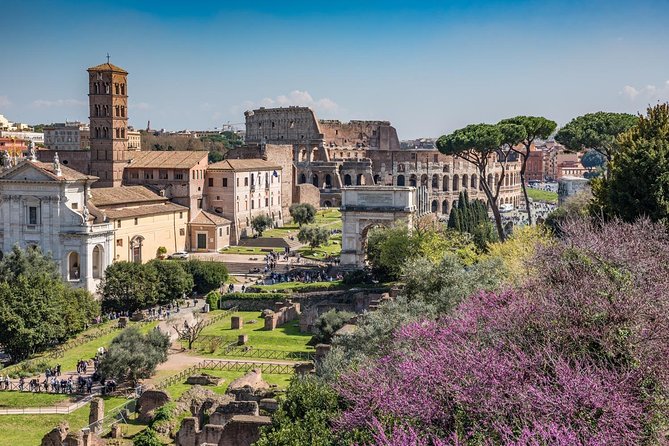 Semi-Private Ultimate Colosseum Tour, Roman Forum & Palatine Hill - Included
