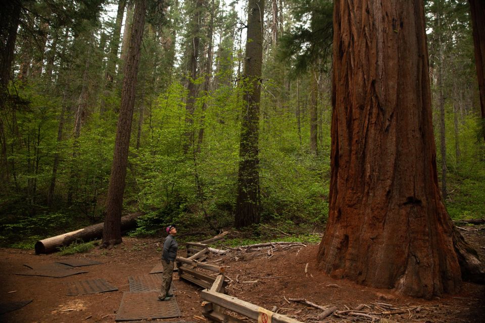 Sequoia & Kings Canyon National Parks: Two-Day Private Tour - Rugged Trails and Vistas