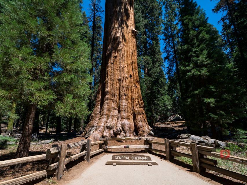 Sequoia & Kings Canyon: Self-Guided Audio Driving Tour - Park Highlights