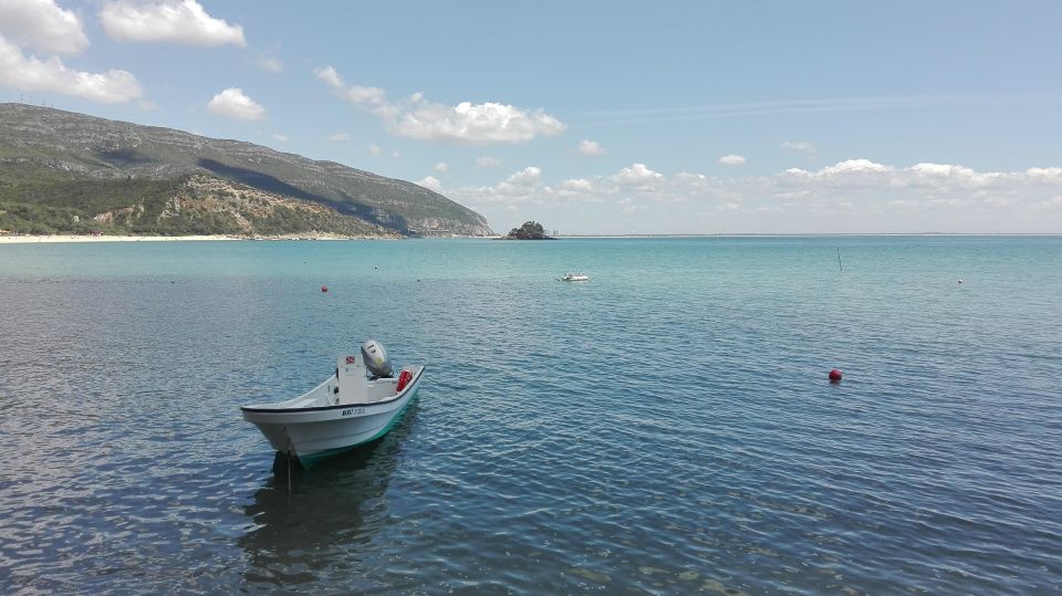 Sesimbra and Arrábida Natural Park: 1 Day Tour & Wine Tasting - Tejo Estuary & Costa Azul Promontory