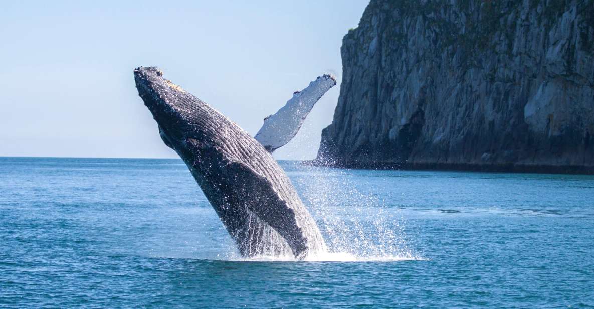 Seward: Kenai Fjords National Park 6-Hour Cruise - Vessel and Amenities