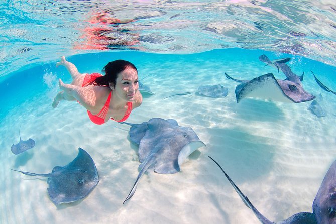 Sharks & Stingrays Encounter and Small Boat Ride From Punta Cana - Inclusions and Logistics