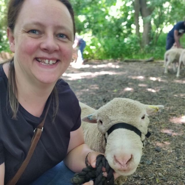 Shropshire Sheep Trekking - Worlds Smallest Sheep Stroll