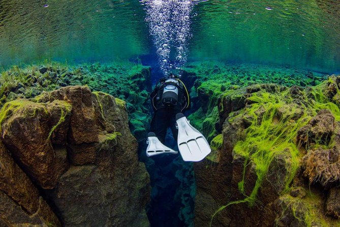 Silfra Fissure Freshwater Scuba Diving Tour From Reykjavik - Dive Equipment and Gear Included