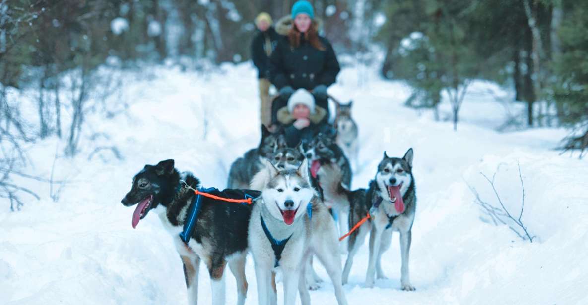 Sirkka: Husky Sled Ride in Levi - Highlights of the Tour