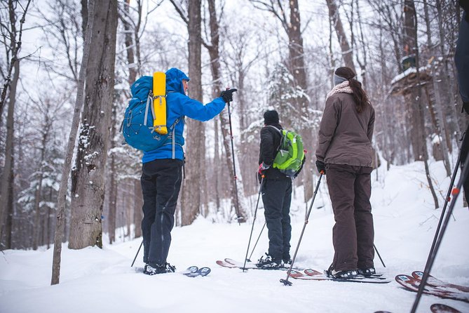 Skiing (Hok Ski) Excursion in Jacques-Cartier National Park - Highlights of the Tour