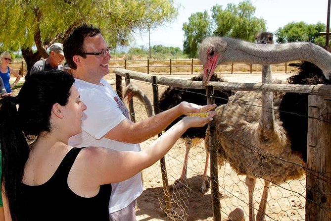 Skip the Line: Highgate Ostrich Farm Tour Ticket - Tour Details