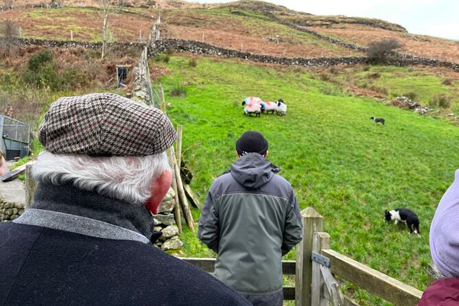 Small Group Aughnanure Castle, Sheepdog Demo & Connemara Tour - Highlights of the Tour