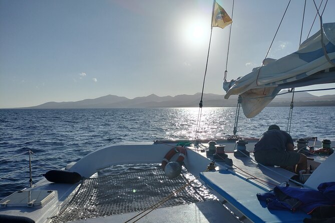 Small Group Dolphin Sunset Tour on Electric Catamaran Lanzarote - Meeting Point and Ending