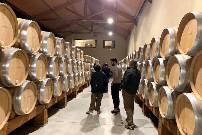 Small Group Tour - Ribera Del Duero Super Taster With Lunch - Winery Visits