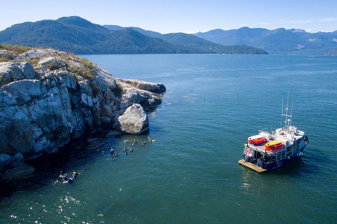 Snorkel, Kayak, and Seal Adventure: Vancouver Boat Tour - Kayaking and Snorkeling Activities