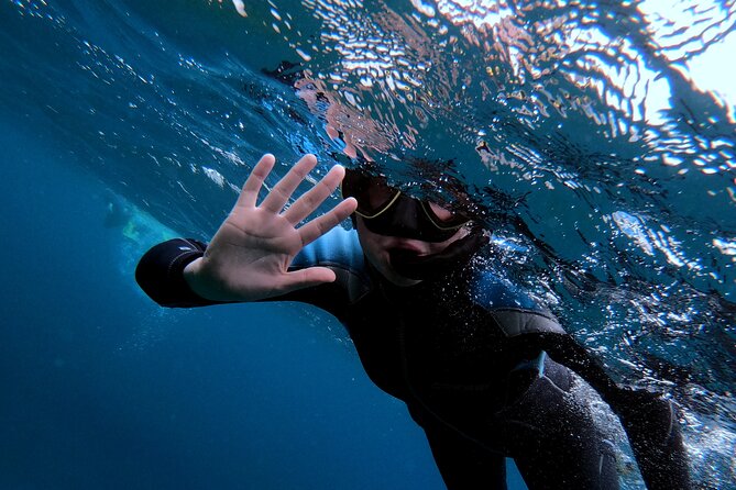 Snorkeling in Vila Franca Do Campo - Included in the Experience