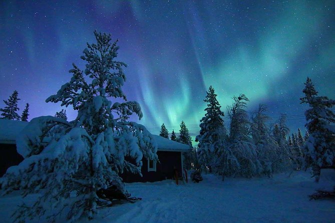 Snowmobile Aurora Expedition With Dinner - Snowmobile Exploration in the Arctic