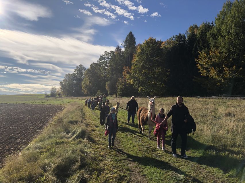 Sohland an Der Spree: Walk With an Alpaca - Highlights of the Tour