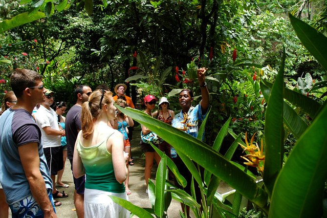 Soufriere Island Delight - Exploring Soufriere