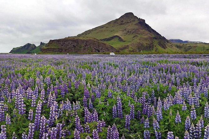 South Coast. Private Day Tour From Reykjavik - Glacier Viewpoints