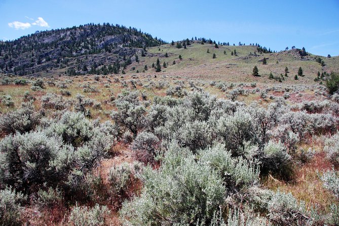 South Okanagan Desert Tour