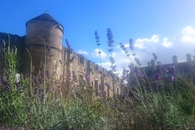 St Andrews, Falkland and Fife Villages Tour From Edinburgh - Meeting Point and Check-in