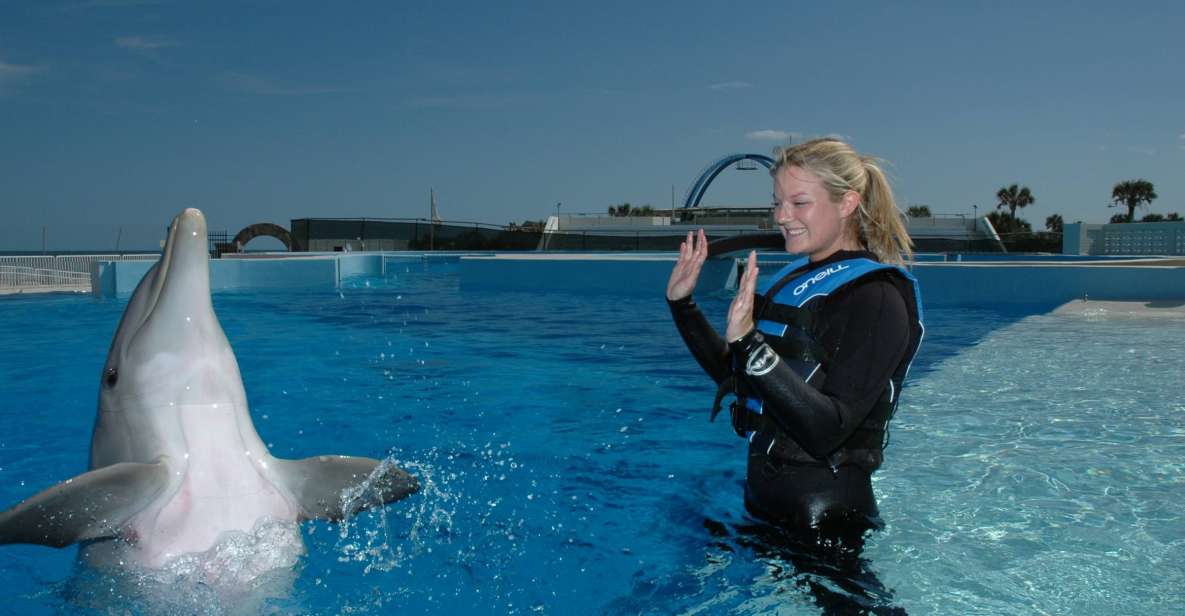 St. Augustine: Marineland Dolphin Encounter - Interactive Experience Overview