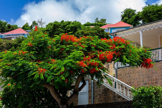 St Barts Daytrip From St Maarten - Included Beverages and Amenities